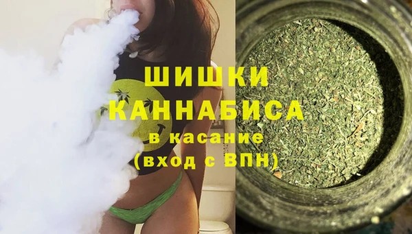 эйфоретик Болотное