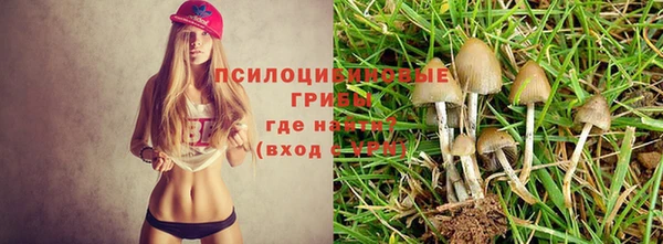 ALPHA PVP Армянск
