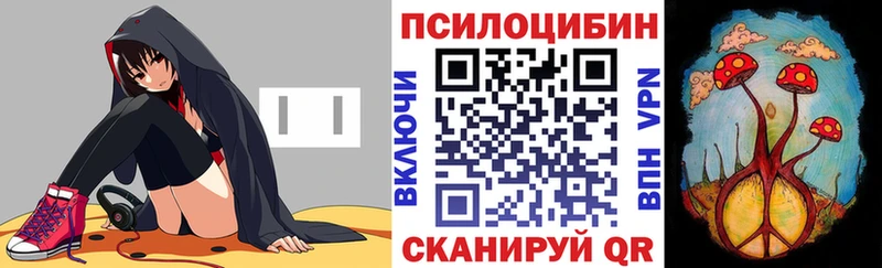 Галлюциногенные грибы Cubensis  Карачев 